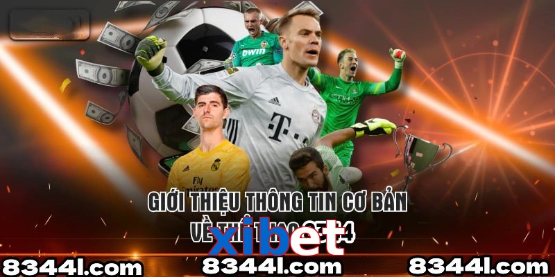 Giới Thiệu Thông Tin Cơ Bản Về Chuyên Mục Thể Thao xibet